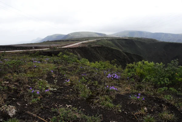 Parque Estadual da Serra do Rola-Moça se consolida como destino de férias de verão na Grande BH