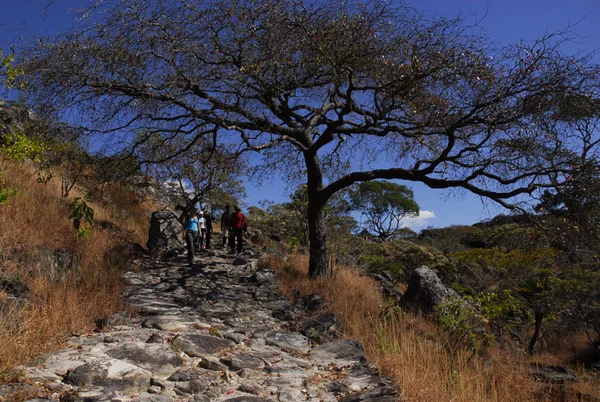 Parque Estadual do Biribiri