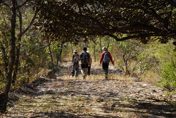 Caminho dos escravos