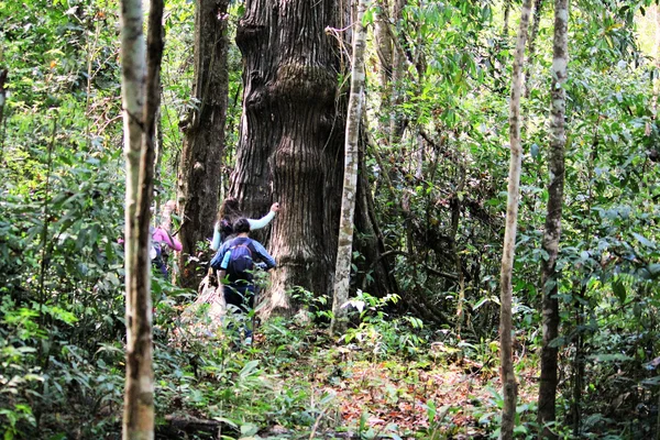Parque Estadual do Rio Doce