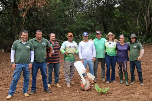 Projeto "SemeArroz", da Epamig, tem desenvolvido estudos para implantar o cultivo de arroz em terras altas