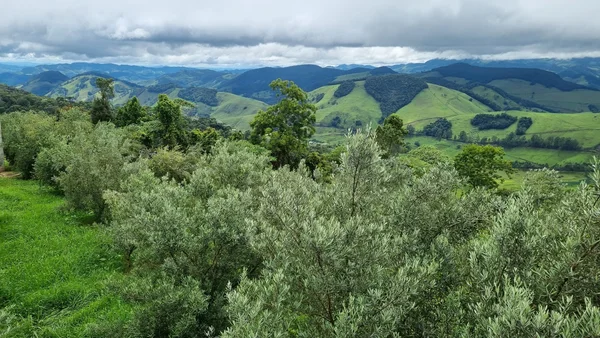 Fazenda Santa Helena