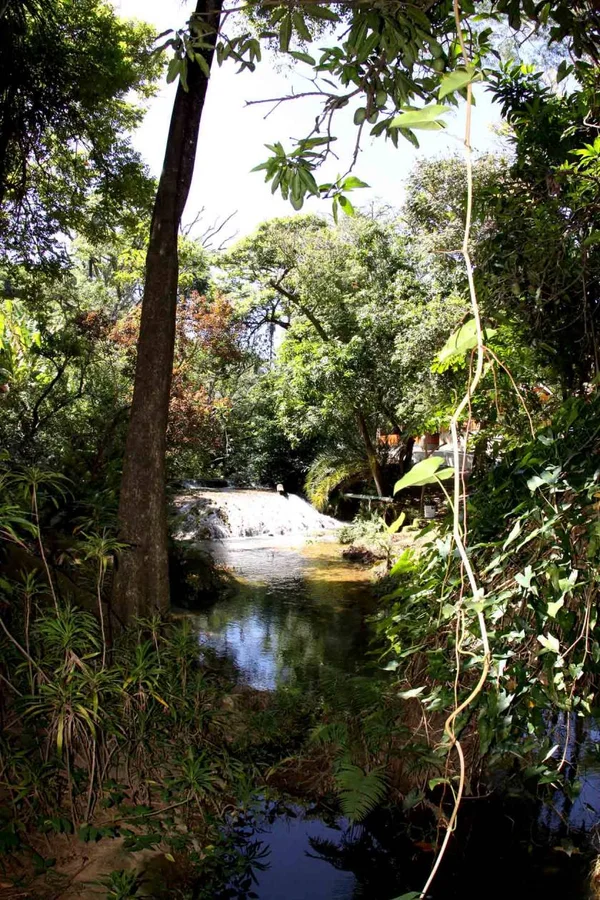 O parque está na zona de transição entre os biomas Cerrado e Caatinga
