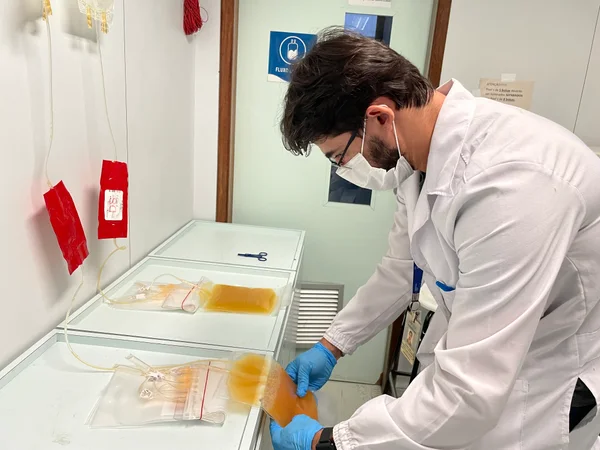 Governo de Minas amplia plasmaférese e fortalece o cuidado contra rejeição de órgãos transplantados