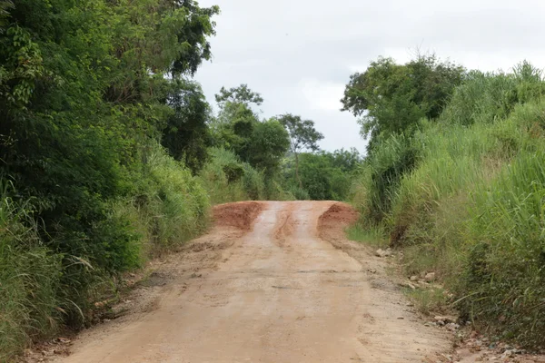 Governo de Minas anuncia R$ 100 milhões para infraestrutura rodoviária no Vale do Jequitinhonha