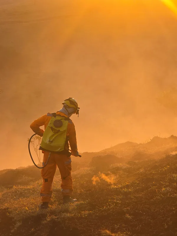 Governo de Minas lança Plano Estadual de Enfrentamento aos Incêndios Florestais e reforça preparação frente às mudanças climáticas