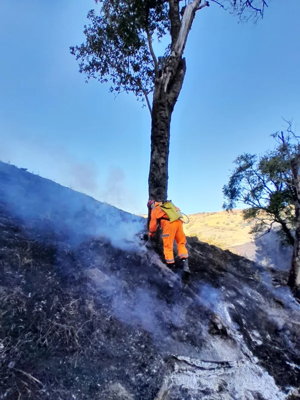 Governo de Minas lança Plano Estadual de Enfrentamento aos Incêndios Florestais e reforça preparação frente às mudanças climáticas