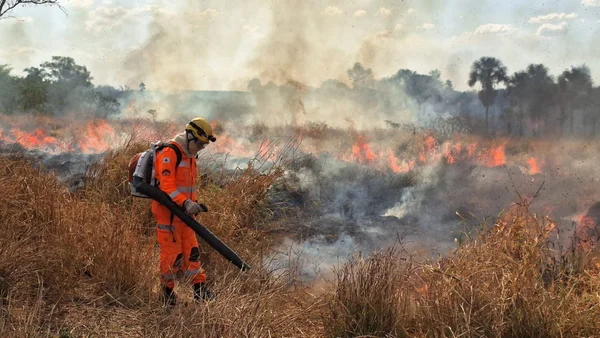 Governo de Minas lança Plano Estadual de Enfrentamento aos Incêndios Florestais e reforça preparação frente às mudanças climáticas