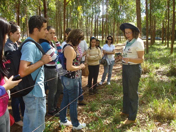 Os participantes conheceram a Unidade Demonstrativa de Integração Lavoura-Pecuária e Floresta na Fazenda Experimental
