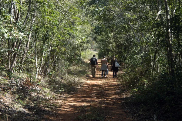 Investimento confirma o fortalecimento da economia mineira e o crescimento do turismo de negócios no Estado