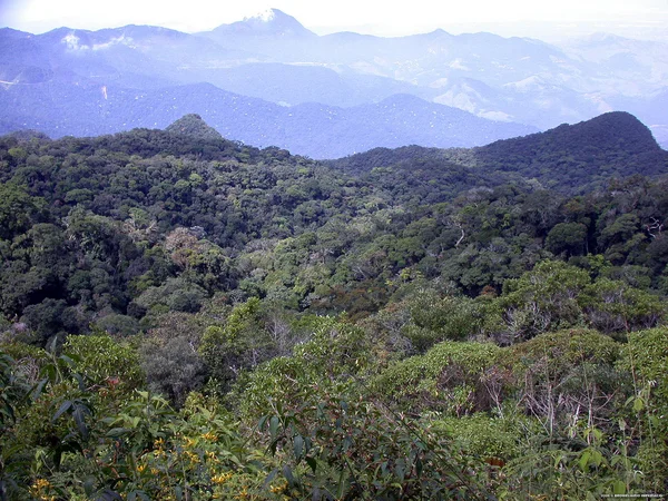 Minas possui a maior área remanescente do Brasil, com 3.087.045 hectares