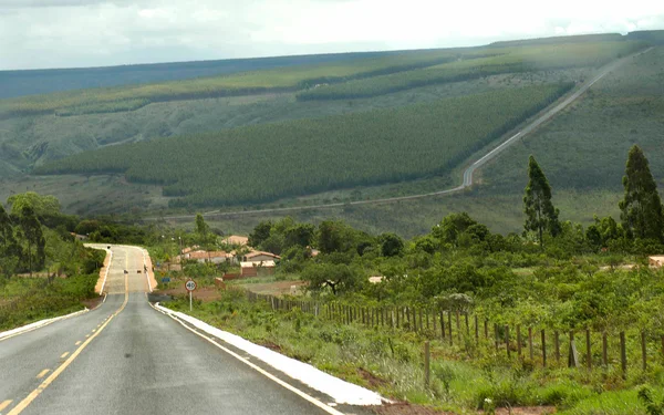 No Norte de Minas os municípios de Itacambira e Juramento já são alguns dos contemplados com investimentos do Governo do Estado na pavimentação de estradas 