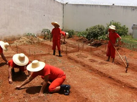 O curso profissionalizante de olericultura é resultado de uma parceria entre o presídio e o Senar