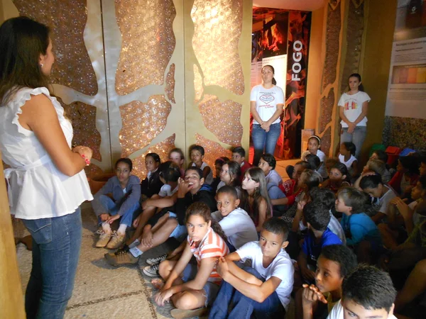 A exposição leva os visitantes a uma viagem pelos quatro elementos: terra, água, fogo e ar