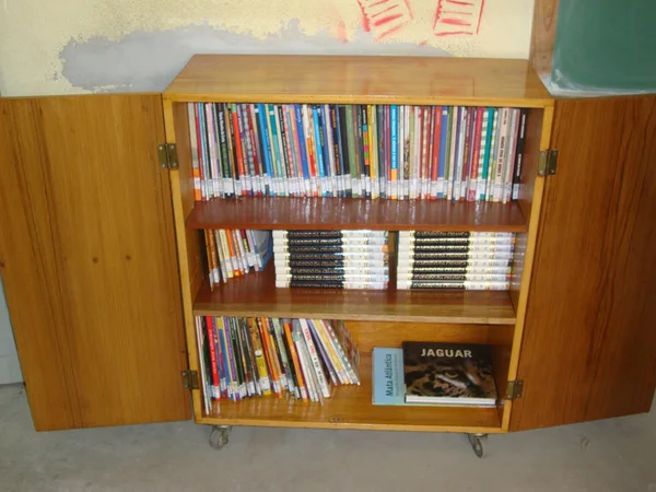 O acervo é composto por cerca de 120 livros, distribuídos entre literatura brasileira, estrangeira, infantil, juvenil e autoajuda
