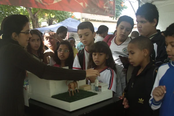 O programa dessa vez trará novidades, como a inserção de atividades pedagógicas sobre dengue