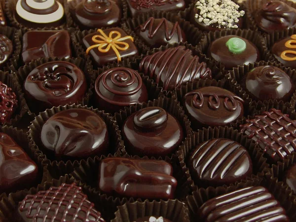 Qualidade do leite disponível no Estado atraem empresas produtoras de chocolates finos