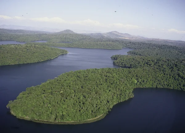 Biodiversidade mineira é uma das mais ricas do país