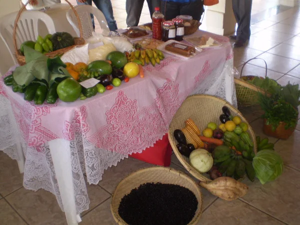 Associação do Desenvolvimento da Agricultura Familiar do Alto Capim conquista 1º lugar do Prêmio Bari com projeto de fabricação de alimentos sem agrotóxicos