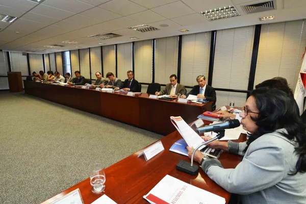 Secretária Dorothea Werneck falou sobre as ações de Minas com foco na diversificação econômica
