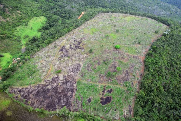 O operação Serra Negra identifica 709 hectares de áreas de desmatamento ilegal