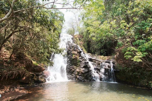 A unidade de proteção possui cinco trilhas para o visitante entrar em contato com a natureza