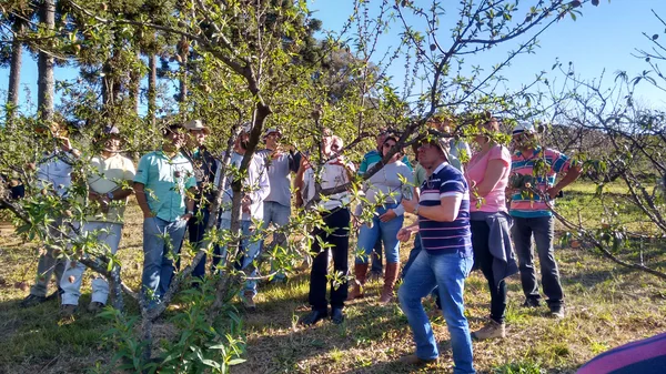 Nos últimos seis anos foram realizados 58 eventos com a participação de 7 mil produtores e caravanas de mais de 360 municípios