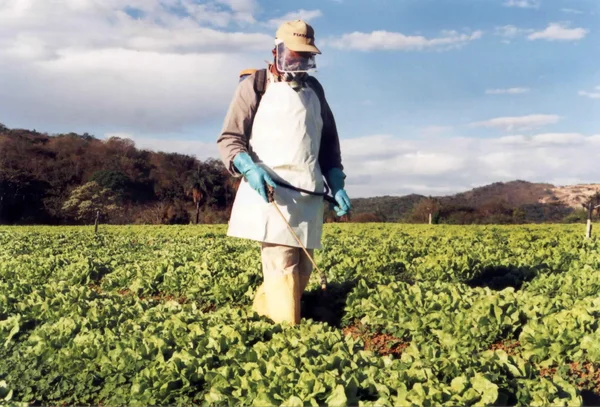 Produtores deverão seguir normas relacionadas à certificação de qualidade e sustentabilidade que atendem a requisitos internacionais