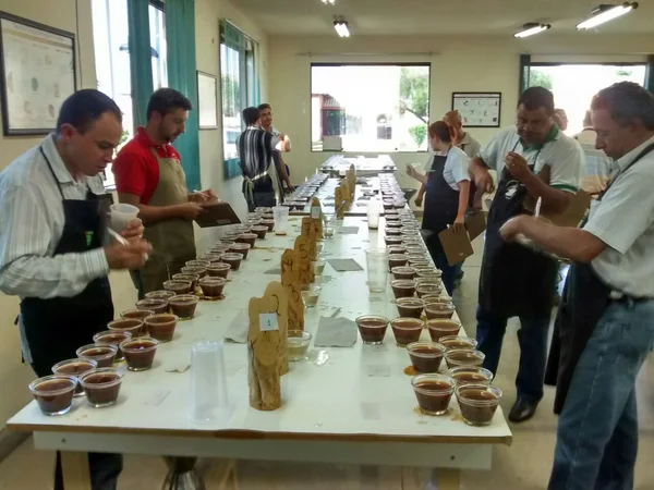 A novidade este ano, é que todos os cafés classificados para a segunda fase já têm compradores garantidos