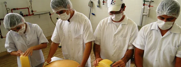 Curso do ILCT garante excelência a profissionais da cadeia do leite