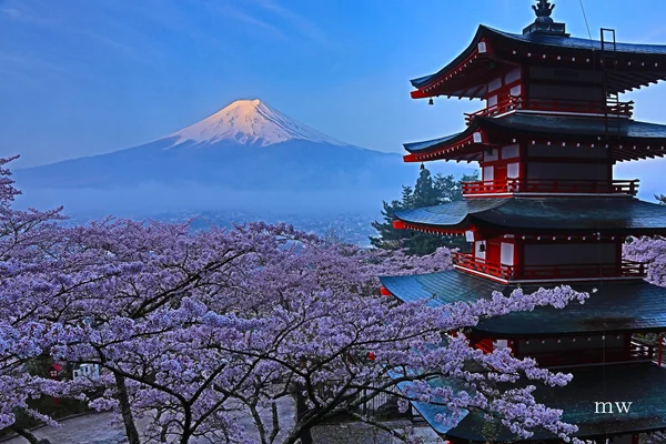 O programa concede bolsas para participar de um intensivo treinamento no setor público japonês
