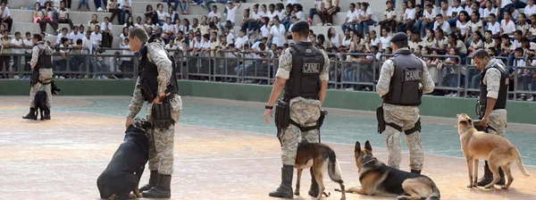 Os animais executaram ordens de obediência, faro e performances, com direito a charminhos para o público