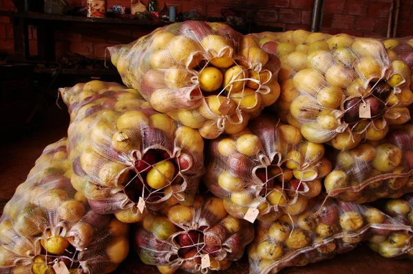Ao final do próximo ciclo produtivo, a expectativa é que tenham sido colhidas e comercializadas em torno de 1.750 toneladas da fruta