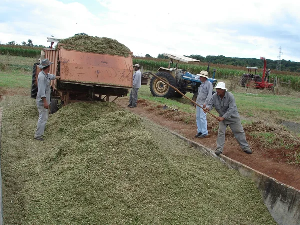 Em toda a região, os produtores são orientados com ações para ajudar a conviver com a seca