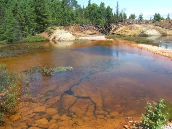 Segundo a Fapemig, embora reconhecido na área de biomassa, O Brasil possui fluxos de resíduos não aproveitados para a 'biobased economy'
