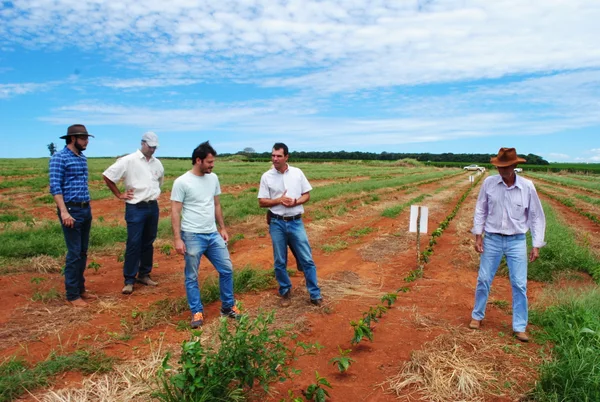 Equipe técnica da Epamig visita aos experimentos de café em propriedades do Cerrado mineiro