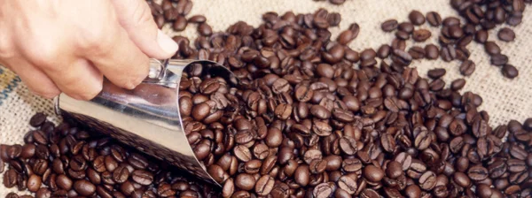 Apoio oferecido por Emater, IMA e Epamig ajuda a alavancar a produção de cafés especiais em Minas Gerais