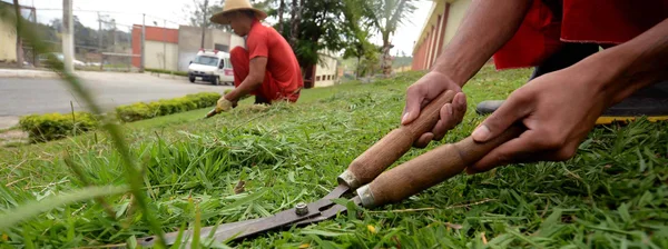Cerca de 40 presos se revezam no trabalho de capina e manutenção dos jardins