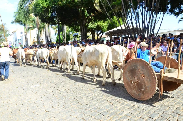 Desfile de carro de boi em Crucilândia