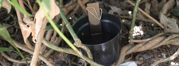A Ovitrampa é um dispositivo capaz de ajudar no controle vetorial do mosquito