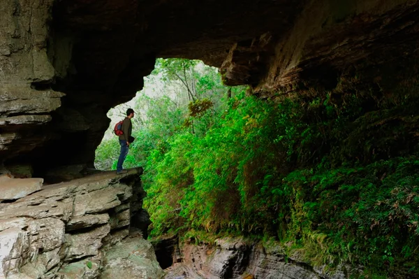 Os Parques Estaduais abrigam importantes áreas de preservação ecológica em Minas Gerais
