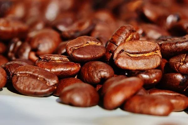 Os cafés vencedores em cada categoria serão vendidos por mil dólares a saca de 60 Kg