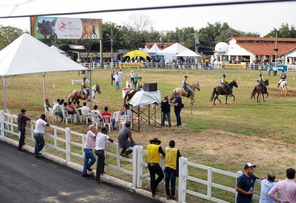 Exposição cumpre sua função de dar visibilidade a importantes setores do agronegócio mineiro