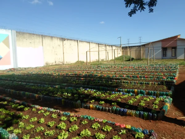 Os alunos aprendem sobre aproveitamento das hortaliças e armazenamento da produção