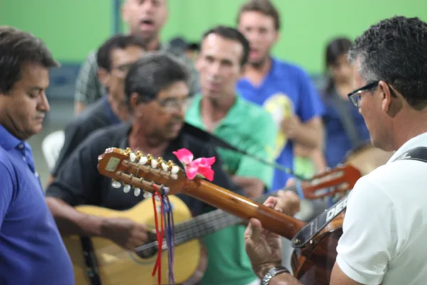 Entre março de 2017 e janeiro de 2018, o instituto realizou um mapeamento da viola em Minas Gerais