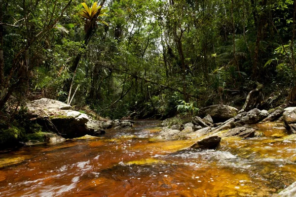O futuro Parque Estadual Serra Negra da Mantiqueira está localizado na região da Zona da Mata mineira