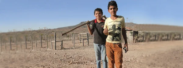 Plano representa o compromisso do Estado com as juventudes e a erradicação da pobreza rural