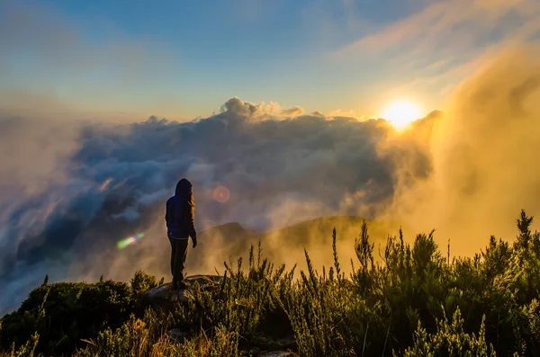 Pico da Bandeira, na região do Alto Caparaó, em Minas Gerais