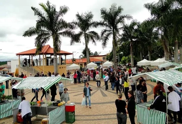 Com a legalização das agroindústrias, famílias ampliaram a sua participação no mercado em Coqueiral