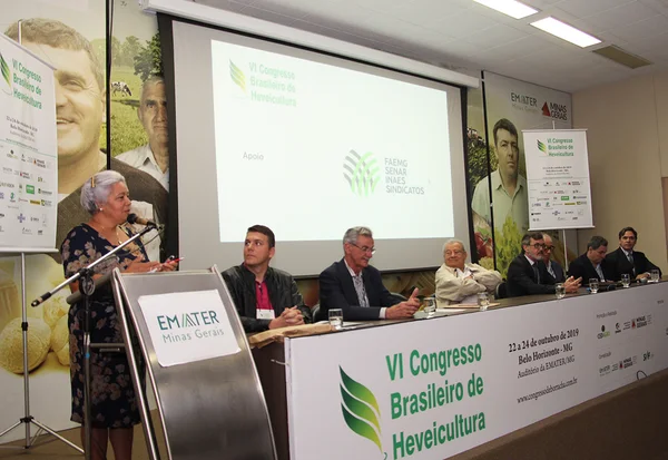 Cenário aponta para déficit de borracha natural no fim da próxima década